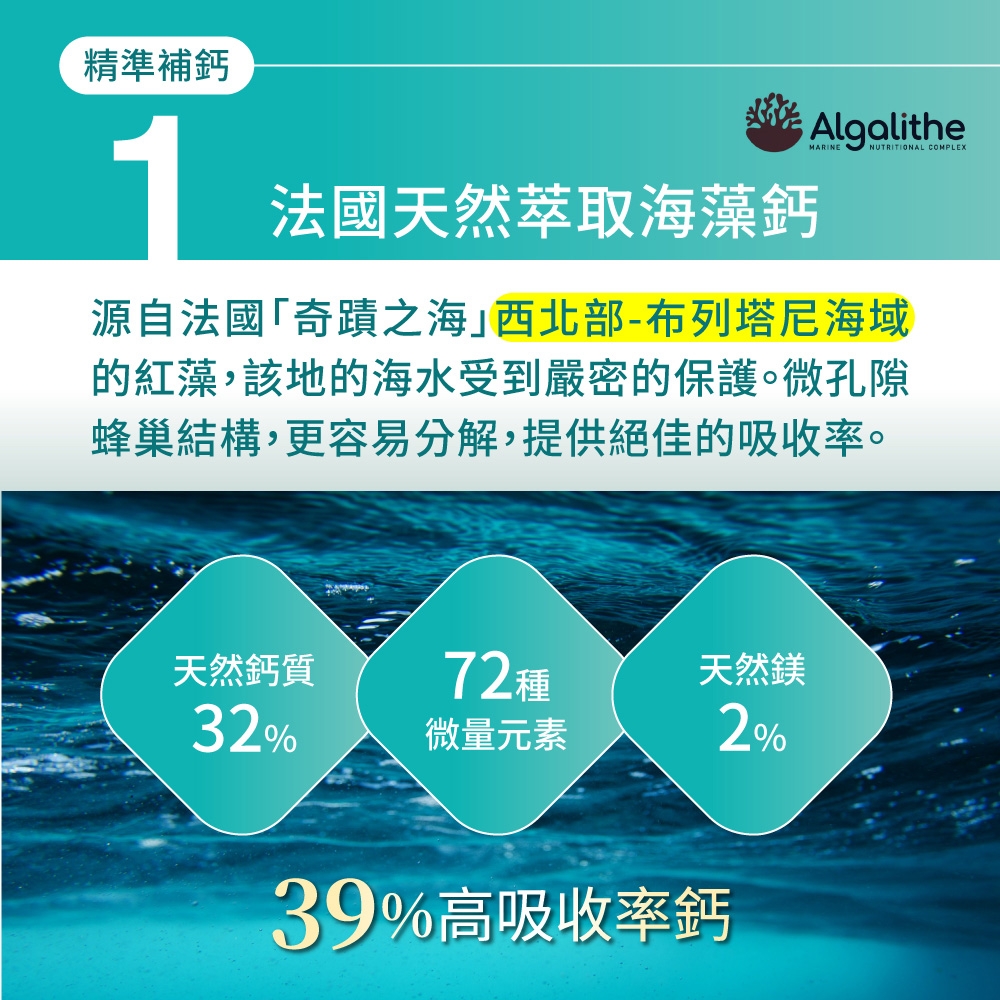 精準補鈣1法國天然萃取海藻鈣AlgalitheNUTRITIONAL COMPLEX源自法國「奇蹟之海西北部-布列塔尼海域的紅藻,該地的海水受到嚴密的保護。微孔隙蜂巢結構,更容易分解,提供絕佳的吸收率。天然鈣質72種天然鎂32%微量元素2%39%高吸收率鈣