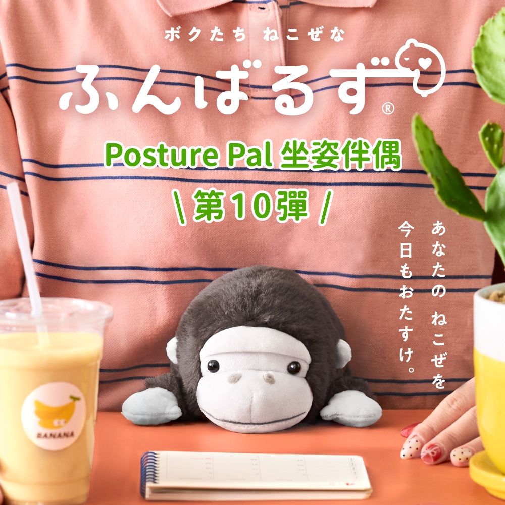 Dreams Posture Pal 坐姿伴偶 第十彈