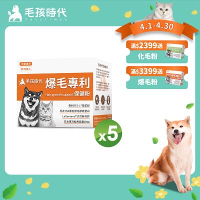【毛孩時代】爆毛專利保健粉x5盒(貓狗保健品 狗皮毛保健)