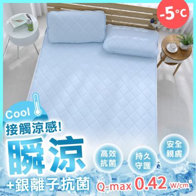 鴻宇 涼感-5度C 瞬涼銀離子 可洗抗菌雙人保潔墊 SUPERCOOL接觸涼感 2色任選