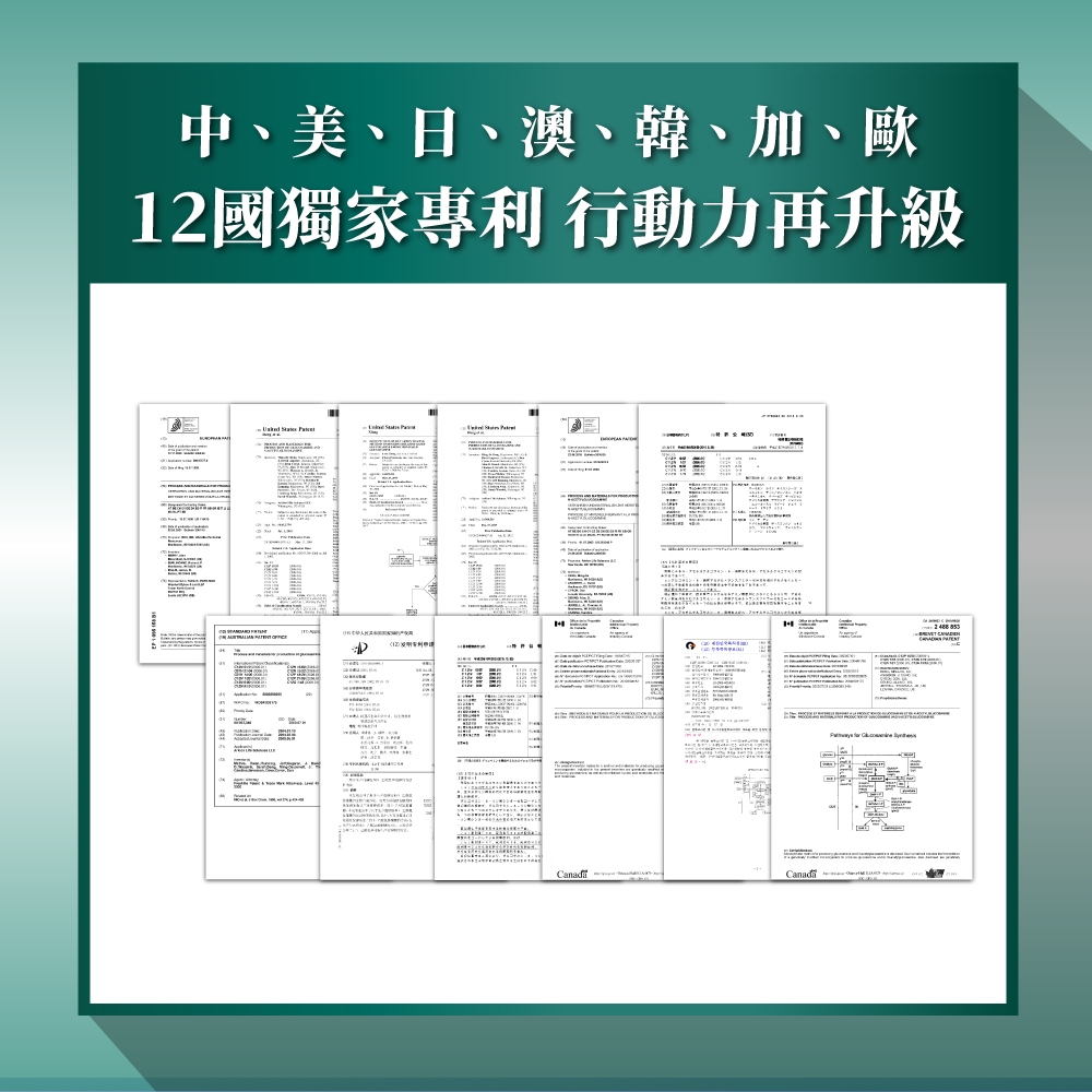 中、美、日、澳、韓、加、歐12國獨家專利 行動力再升級Canad