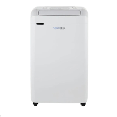 Opure 臻淨  DH1 負離子清淨除濕機 一級能效 每日達 21L