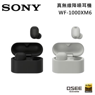 SONY索尼 WF-1000XM6 主動式降噪 真無線入耳式耳機