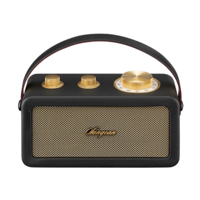 【SANGEAN山進】RA-101 調頻/藍牙喇叭 ( FM/Bluetooth )