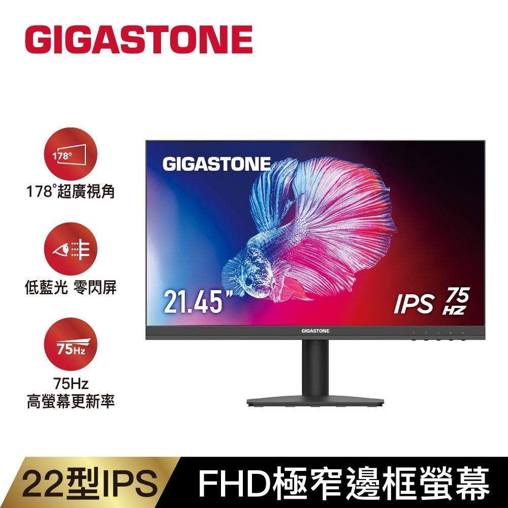 Gigastone LM-22FA51 22型 IPS FHD 100Hz 極窄邊框螢幕(1ms/HDMI/VESA壁掛/內建喇叭)