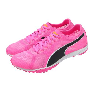 Puma 田徑釘鞋 EvoSpeed Haraka 8 男鞋 粉紅 可拆式 抓地 313591-02
