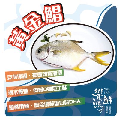【南縣區漁會 饗鮮味】黃金鯧400-500g -1箱5入