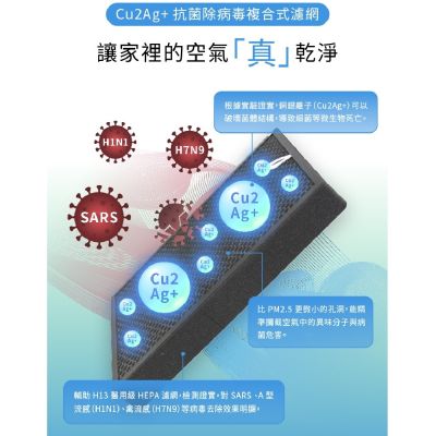 【億肯嚴選】台灣威力 Caelus HEPA H13 銅銀離子Cu2Ag+抗菌複合式濾網 (適用WL-AP600)