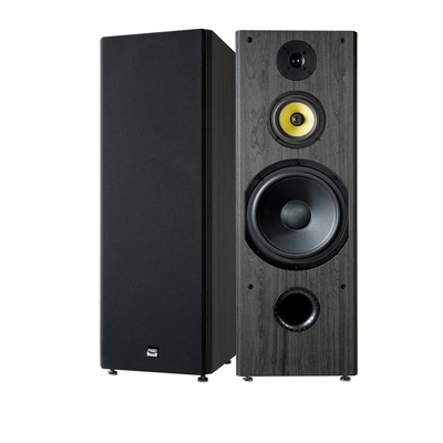 FNSD 華成 台灣好聲音FNSD SP-1902專業落地型主聲道喇叭