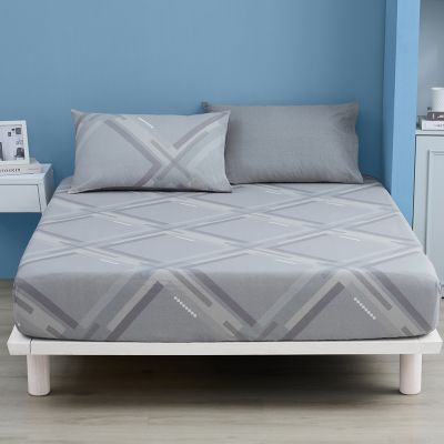 Tonia Nicole 東妮寢飾100%精梳棉 雙人床包枕套組(任選)