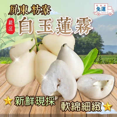 家購網嚴選屏東枋寮白玉蓮霧大3斤/盒(14~19顆/盒) | 蕃茄/芭樂/蓮霧