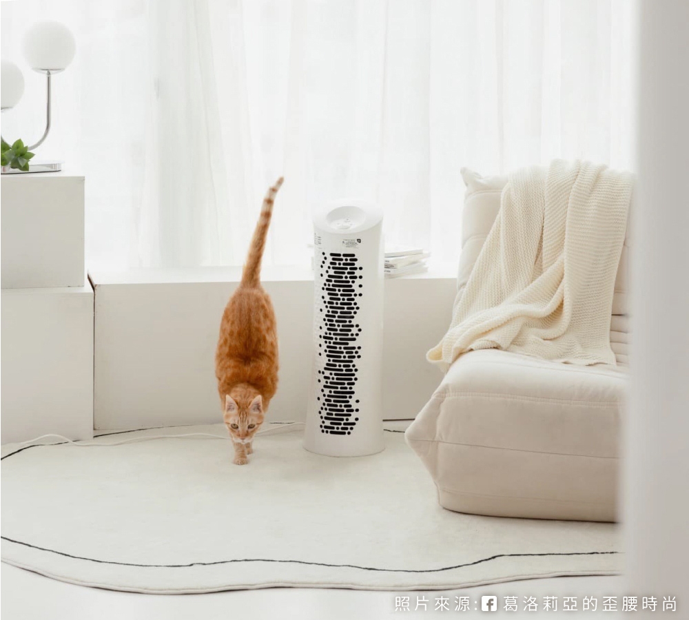 Honeywell HPA-030WTW - 詳情12