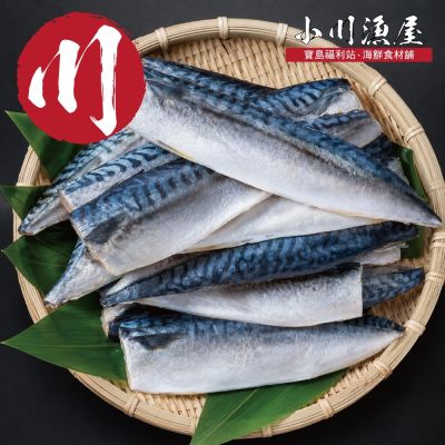 【小川漁屋】野生挪威薄鹽鯖魚5片(100g±10%/片_純重無紙板）