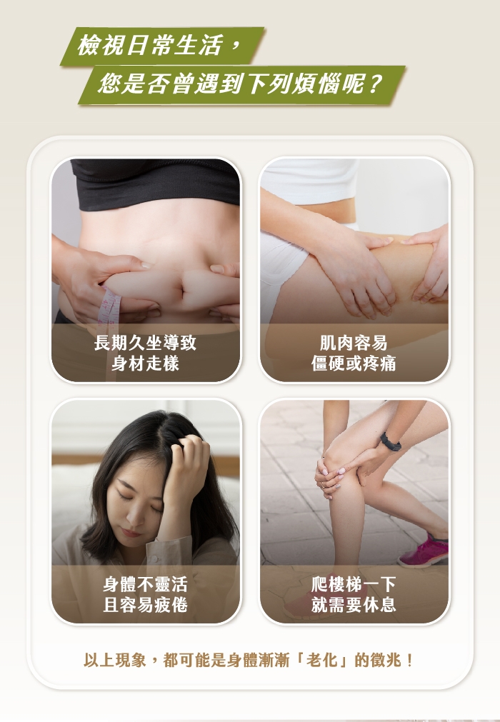 berest VSR1 - 詳情12