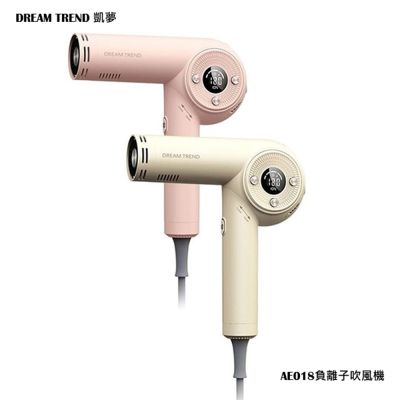 DREAM TREND 凱夢 AI 智能 國際電壓 負離子吹風機 AT-120 AE018