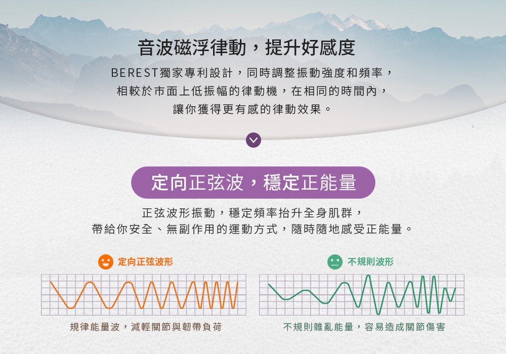 berest VP200 - 詳情9