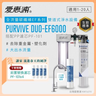 EVERPURE愛惠浦 櫥下型 PURVIVE Duo-EF6000大流量不鏽鋼龍頭兩道式生飲淨水器(前置PP)