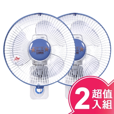 雙星牌 雙星10吋單拉壁掛扇(超值2入組)TS-1036