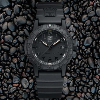 LUMINOX 雷明時 Sea Turtle 革龜 海龜系列 碳纖維複合材質腕錶 手錶 開學換新季 送禮推薦-黑 1LM-0301BO