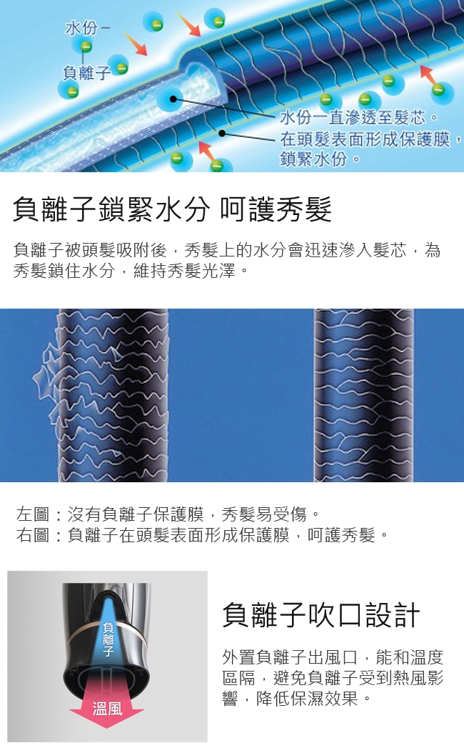 Panasonic國際牌 EH-NE21 - 詳情2