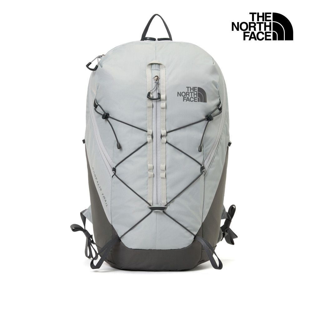 【The North Face 官方旗艦】 北面男女款灰色舒適背負休閒後背包｜8E9ZRO5 筆電包/登山包
