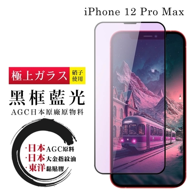 iPhone 15/14/13/12/11/7/6/X/Xs/Xr/s/mini/Pro/Plus/Pro Max 保護貼日本AGC全覆蓋玻璃黑框藍光鋼化膜