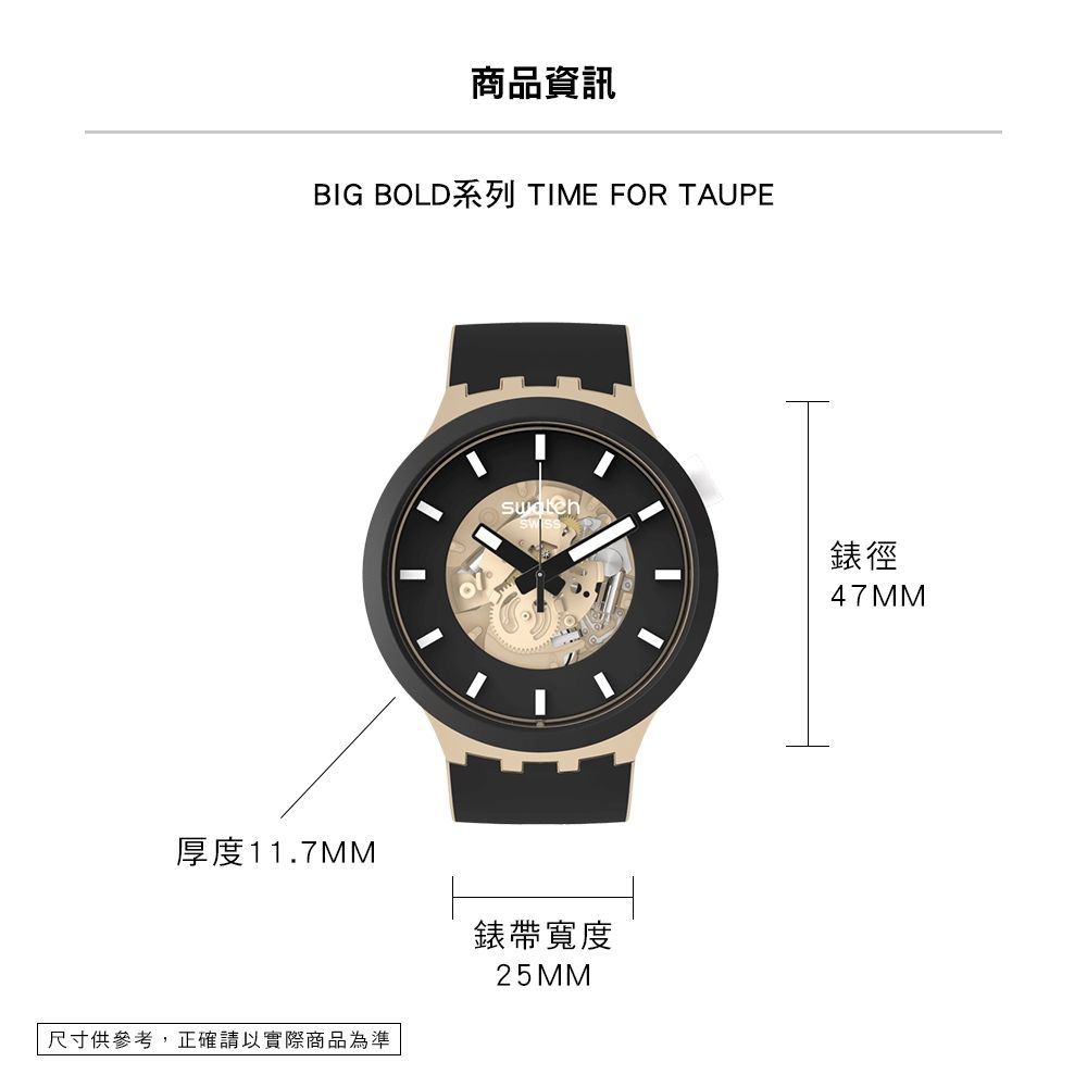 Swatch TIME FOR TAUPE 大錶面手錶/男錶/女錶/瑞士製造SB03C100 (47mm