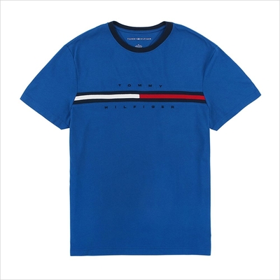 Tommy Hilfiger 男性 短袖T恤 藍 1743