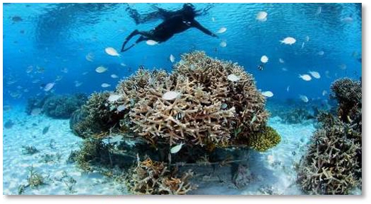 Brinno BCC2000+ - 詳情23