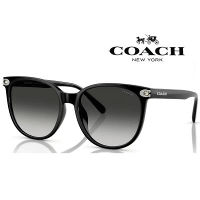 【COACH】亞洲版 太陽眼鏡 框面精緻水鑽設計 HC8414BD 50023C 黑框漸層灰鏡片 公司貨(加贈掛式眼鏡袋)