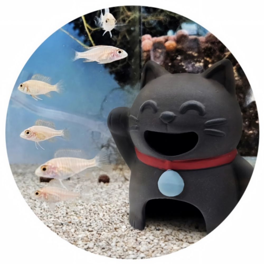 Mr.Aqua》黑陶砂製水族躲避屋-招財貓| 水族用品| Yahoo購物中心