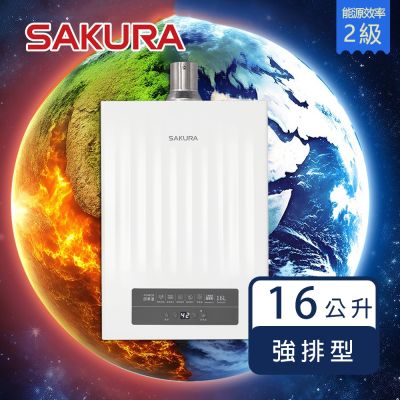 SAKURA櫻花牌 櫻花牌 16L 智能恆溫熱水器 POWER四季溫 DH1635H(LPG/FE式) 強制排氣 自動調溫 直流變頻 雙核感測器 智能通 桶裝