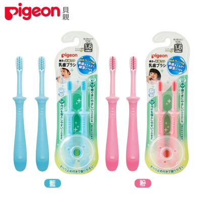 日本《Pigeon 貝親》第四階段學習牙刷2入(粉/藍)