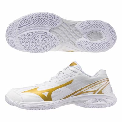 MIZUNO 美津濃 羽球鞋 男鞋 運動鞋 緩震 3E寬楦 CLAW 白金 71GA264318