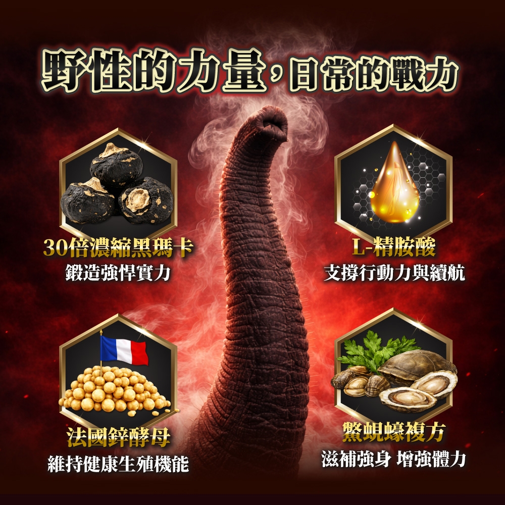野性的力量日常的戰力30倍鍛造強悍實力支撐行動力與續航法國酵母維持健康生殖機能複方滋補強身 增強體力