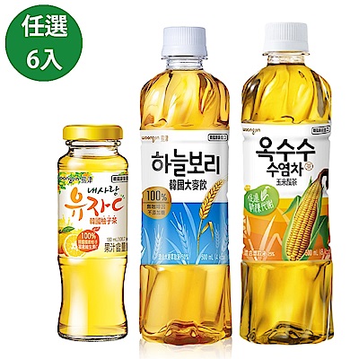 韓國熊津 玉米鬚茶/柚子茶/大麥飲 任選6入