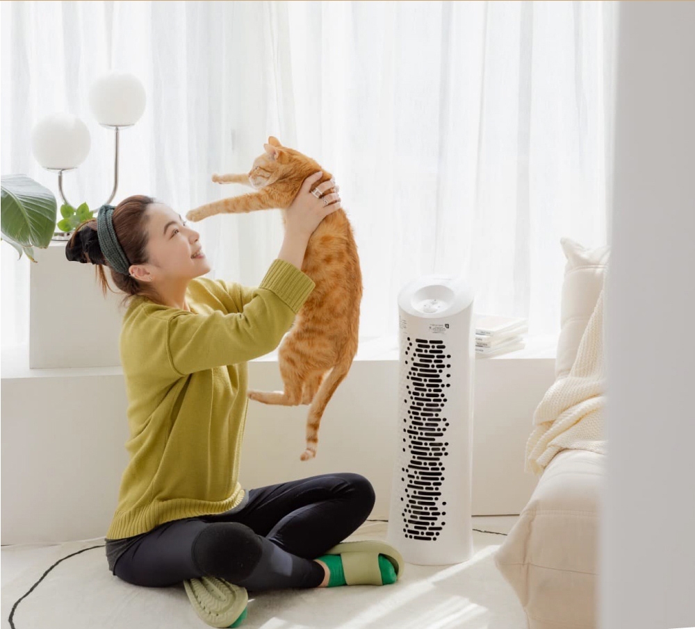 Honeywell HPA-030WTW - 詳情15