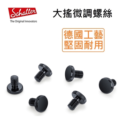 Schaller Fine Tuning Screw M5x8 大搖座 Floyd Rose 大搖 音準 微調 螺絲