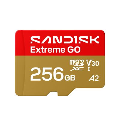 SANDISK Extreme GO microSD UHS-I 256GB 記憶卡(公司貨)