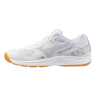 Mizuno Sky Blaster 71GA253310 男女 羽球鞋 寬楦 室內運動 支撐 抗扭 瞬移 白 銀