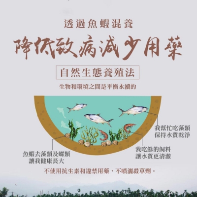 築地一番鮮-自然生態比臉大去刺虱目魚肚6片免運組(200G±10%/片)