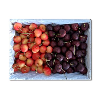 水果狼 美國西北 雙色櫻桃/紅櫻桃/白櫻桃 禮盒