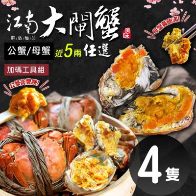 築地一番鮮-(公母任選)近5兩大閘蟹 4隻組/贈工具組/江南大閘蟹