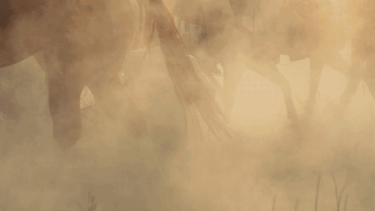 Nikon尼康 Z7 II - 詳情4