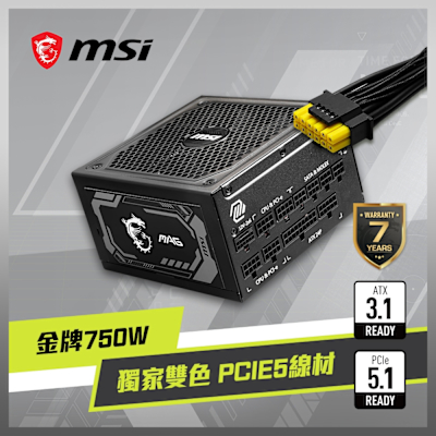 MSI微星 MAG A750GL PCIE5 電源供應器