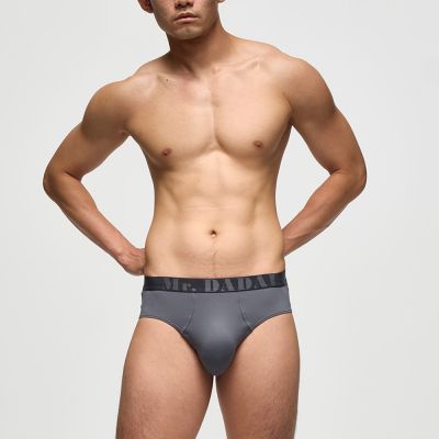 Mr.DADADO-機能系列 M-LL涼感藻生肽 合身三角內褲(礦巖灰)GSC601GY