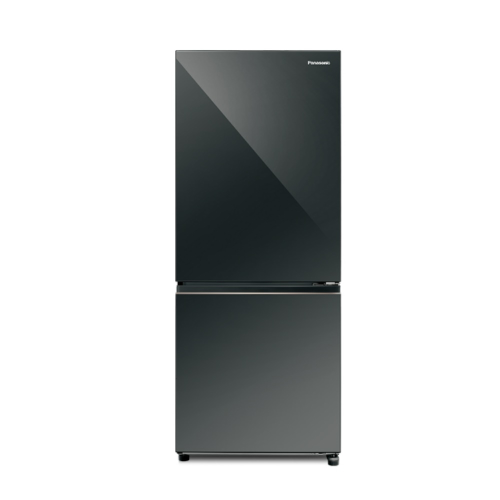 Panasonic 國際牌 NR-B261VG