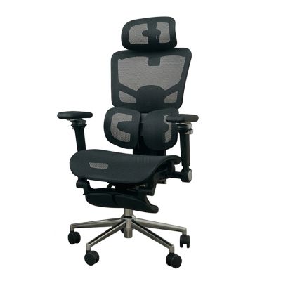 Hyman PluS+ ProZone 8D 極致雲級坐感全域支撐人體工學椅-久坐不累至尊版 /電腦椅/辦公椅/主管椅/休閒椅