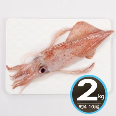 【華得水產】台灣現撈透抽2公斤(約4-10尾)