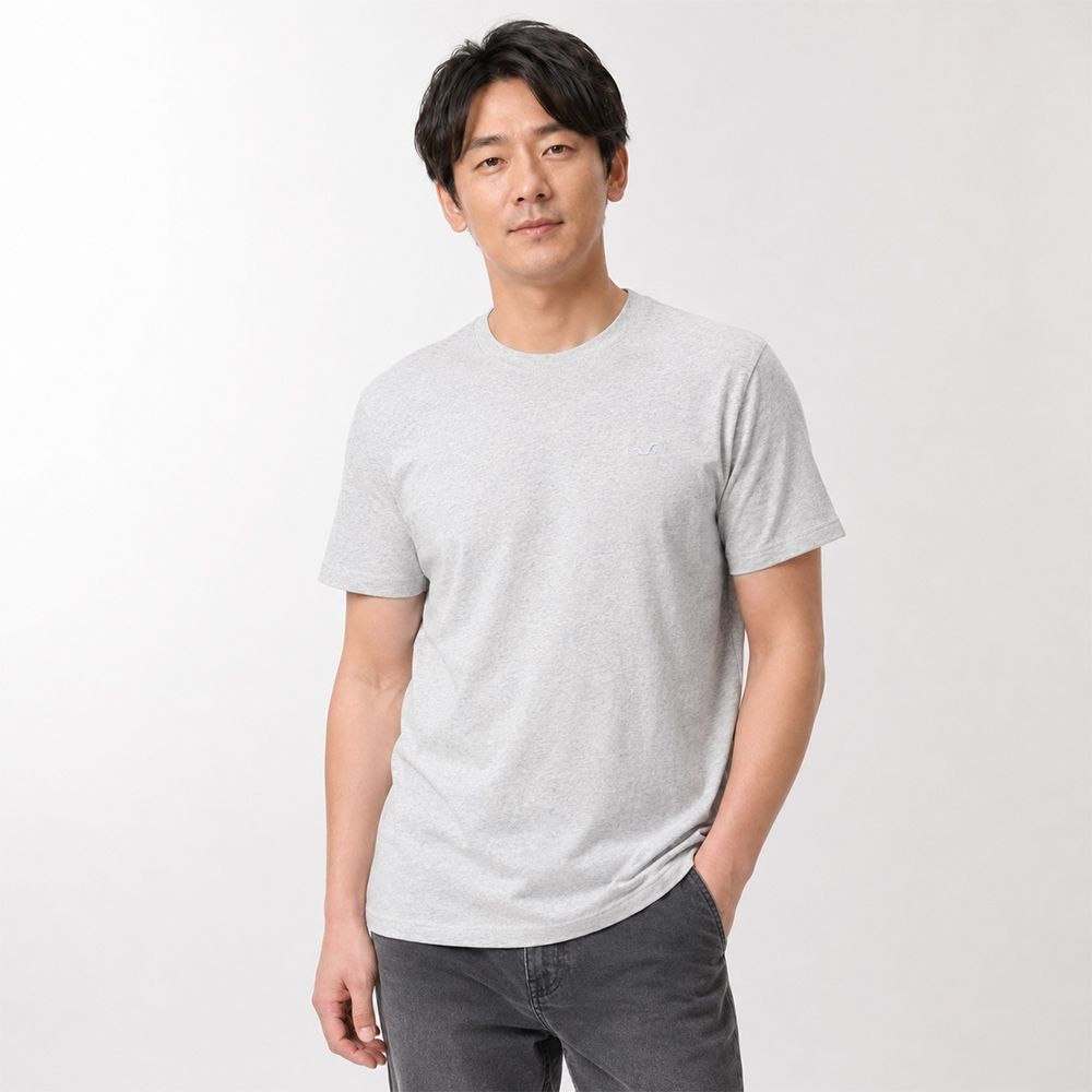 Hollister 海鷗 熱銷刺繡海鷗素面短袖T恤-淺灰色